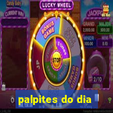 palpites do dia